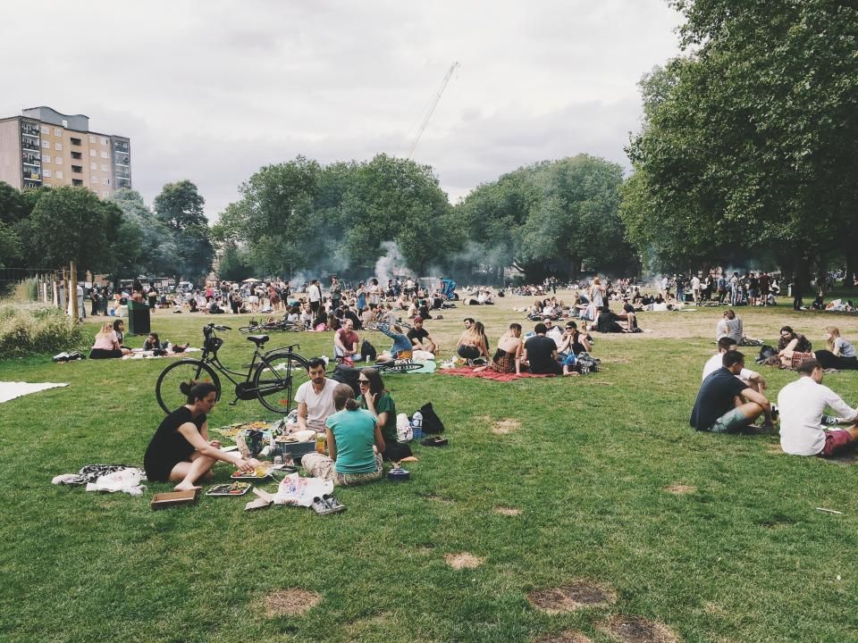 A crowded lawn on a sunny afternoon